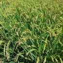 청산당구장 이미지