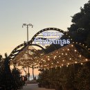 오션 | [부산 여행] 파라다이스 호텔 부산 본관 디럭스 오션 테라스 후기 ft. 라운지 칵테일