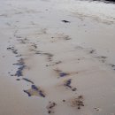 반도크레인 이미지