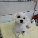 견생스타일 이미지