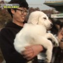 종일농장 이미지