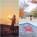 해식 농장 | 부안 겨울여행 내소사 단풍 엔딩 채석강 해식동굴 노을 부안 상설시장