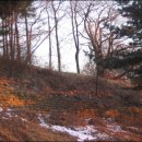 사랑의연리근 이미지