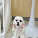 뭉투샵 네이버블로그