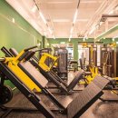 핏머슬짐 이미지