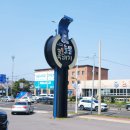 씨유제주한라대학로점 | 제주 공항 맛집 노형동 '늘봄흑돼지 ', 점심 특선 만원대 늘봄정식으로 즐기는 흑돼지와 강되장비빔밥...