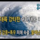 길림농장 네이버블로그