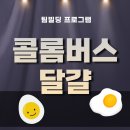 콜럼버스커뮤니케이션 | 고정관념을 깨는 집단지성팀빌딩 '달걀 구출 작전' 콜롬버스팀워크 창의적사고와 문제해결워크숍