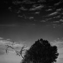 오늘의 찬 이미지