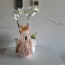 수야식당 - 진주시 일반성면 | 상견례 호접란 고민이라면? 부산 상견례 선물 수야난원 내돈내산 후기 W.17