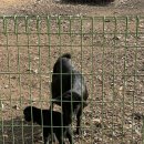 찬우물농장 이미지