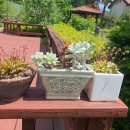 지아정원 이미지