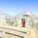 주성농장 이미지