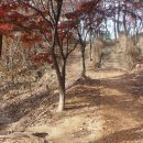 상도근린공원 산책로 Daum카페