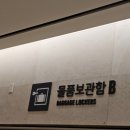 나들스토어 | 메타몽의 타임캡슐 포켓몬 팝업 스토어 잠실 롯데월드몰 다녀온 후기