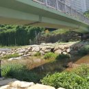 대천천2 이미지