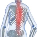 향기나무한의원 이미지