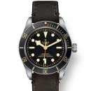 롤렉스 산하의 스위스 시계 브랜드 '튜더(TUDOR)' 이미지