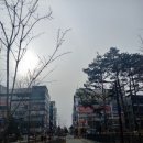 에스1+내과의원 이미지