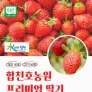 용주농원