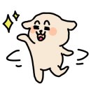 반려동물행동교정사 이미지