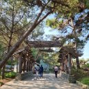 산막이옛길 대형주차장 | 괴산 산막이옛길 / 함께 걷고싶은 아름다운 숲길 / 힐링로드100선(No.55)