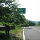 솔잎한우축사 이미지