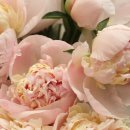 도시의 아침 이미지