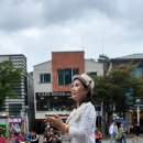 벽천분수 Daum카페