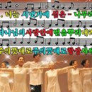 시냇가에 심은 나무