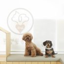 탑동물병원 이미지