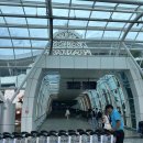 439 | 동남아여행 방콕-발리 타이항공 TG439 기내식 후기