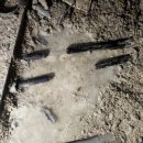 하이베라스텔 이미지