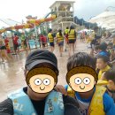 용인대예도태권도 이미지