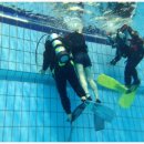 "동대부고 스킨스쿠버 OB" 드디어 첫 수영장 모임을 하다!!!!! 이미지