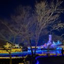 270-2507 | [나고야여행] 나고야 가볼만한 곳 : 나고야 일루미네이션 맛집 '나바나노사토(なばなの里)' 방문후기