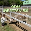 드림 스페이스 | 수원 근교 동물 먹이주기 체험 카페 "드림아트스페이스" 솔직 후기