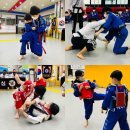 본국무예원 합기도, 검도, 국궁활쏘기 옥정본관 이미지