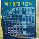 욕지도하늘정원 네이버블로그