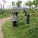 성안중학교 이미지