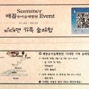 배꼽 유아숲체험원 Daum카페