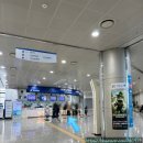 성남소방서 | [성남 아이랑 갈만한곳] 한국잡월드 입장료 예약방법 주차 준비물~ 내돈내산 솔직후기 ^^