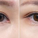 릴리브미 이미지