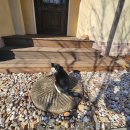 소법리 푸른밤 이미지