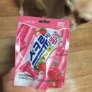 지에스25 익산어양8차점 | gs25 신제품 스크류바젤리 대박 존맛탱 후기