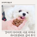 베스트피트 | 강아지 다이어트 사료 아카나 라이트앤피트 급여 후기