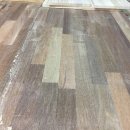 더 헤이븐 이미지