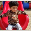 늘푸른어린이집 이미지