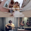 YOU DOG 네이버블로그