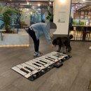 세정유치원 이미지